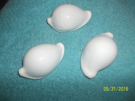 sea shell Egg Cowrie 2+ inches craft or aquarium lot of 3 very nice - £7.56 GBP