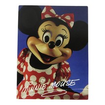 Vintage Minnie Mouse 1992 Walt Disney World Character Meeting Card w Fun... - £11.68 GBP