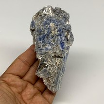 189.2g, 4.2&quot;x2.1&quot;x1.2&quot;, Rough Raw Blue Kyanite Chunk Mineral @Brazil, B28768 - £12.78 GBP