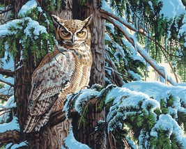 Paint Works Paint By Number Kit 20&quot;X16&quot;-Great Horned Owl - £24.35 GBP