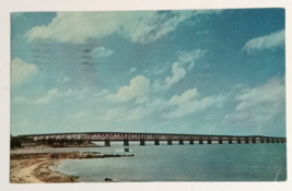 Bahia Hondu Bridge on Overseas Highway Florida FL Colourpicture Postcard 1950s - £6.24 GBP