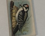 Arm &amp; Hammer Useful Birds Of America Antique #7 Downy Woodpecker VTC2 - $3.95