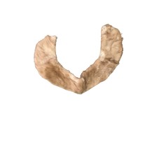 Mink Stole Collar Vintage Fur One Size Fits Most Beige - £13.01 GBP