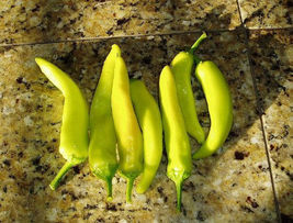 Shipped From Us 600 Hungarian Hot Wax / Banana Pepper Veggie Seeds, LC03 - £15.18 GBP