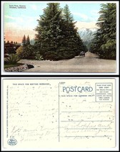 California Postcard - Altadena, Santa Rosa Avenue F10 - £4.66 GBP