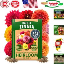 Vibrant 524 Count Zinnia Dahlia Seeds Pack - Ideal for Family-Friendly G... - $315.55 MXN