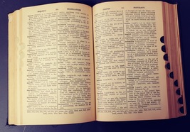  Webster's Daily Use Dictionary 1932 First Edition image 5