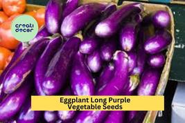 Eggplant Long Purple Seeds – 300mg for Planting, Heirloom Variety, Slim ... - $5.85+