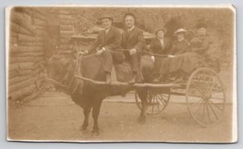 Hot Springs Arkansas Men Riding Cow Touring Bull Cart with Ladies Postcard G27 - £7.95 GBP