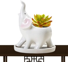 Succulent Planter Pots, Ceramic Elephant Planters Pot, Cute Planters With - £24.35 GBP