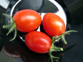 Candy of the Forbidden City - sweet grape tomato - $5.25