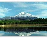 Shastina Properties Advertising Mount Shasta California UNP Chrome Postc... - £2.32 GBP