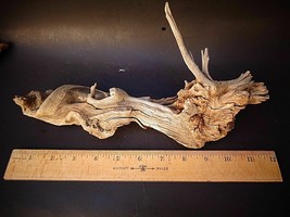 natural Driftwood Art Craft statue aquarium drift wood 11&quot; dragon root - £39.41 GBP
