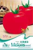 Worldwide Shipping 1 Pack 30 Seeds / Pack Big Red Tomato Organic Edible Tasty To - £7.45 GBP