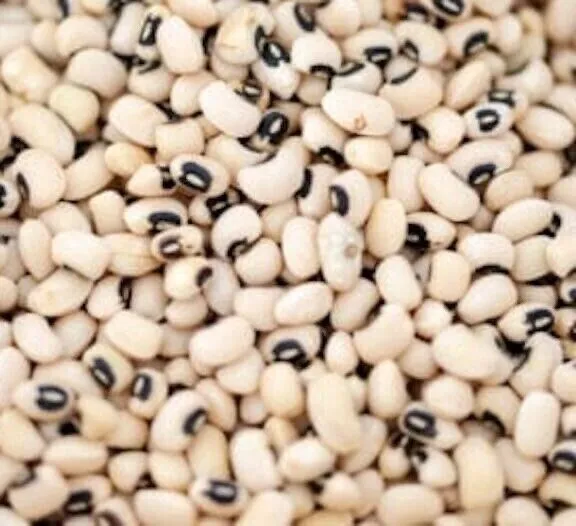 Black Eyed Pea Seeds 70+ Seed Heirloom Gmo Fresh Garden - £5.64 GBP