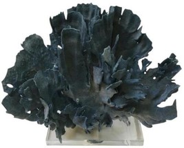 Sculpture Coral Creation Blue Acrylic Base - $1,959.00