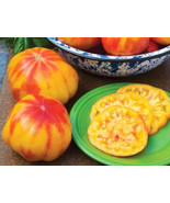 Tomato Mr. Stripey Fresh Organic Seeds Open Pollinated Heirloom - €6,99 EUR