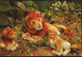 Advertising Postcard Steiff Plush Zoo Favorites #18 King Lion Leo 1960 N... - £7.09 GBP