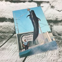 Vintage Postcard High Jump Whale Marineland Florida Collectible Travel  - £3.74 GBP