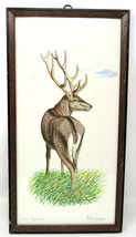 Stag Deer Water Color Painting Wood Frame 12&quot; x 7&quot; Dietershagen Germany Vintage - £133.65 GBP