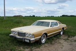 1976 Ford Thunderbird Tan, 24 x 36 Inch Poster, - £16.43 GBP