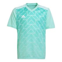 adidasTeam Icon 23 Jersey 'Clear Mint' - $100.00