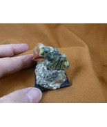 (Y-BIR-EG-455) pair of Egrets green + tan love bird gemstone STONE Peru ... - $24.26 CAD