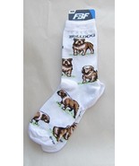 Adult Medium BULLDOG ENGLISH Dog Breed Poses Footwear Dog Socks 6-11 - £9.37 GBP