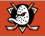 jr Anaheim ducks  NHL Hockey Logo Poster Print 12x8in Metal Sign - $24.74