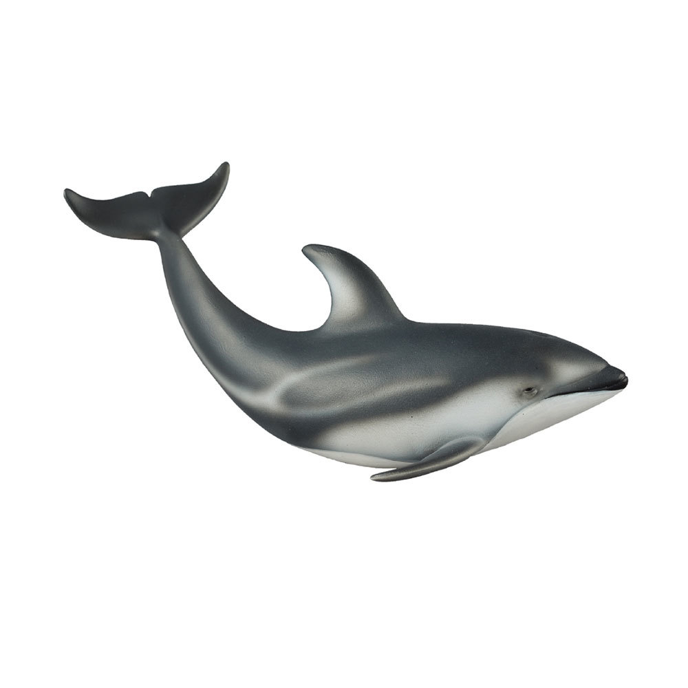 Primary image for CollectA Pacific White Sided Dolphin Figure (Medium)
