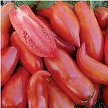 Best SELLER USA 10 Seeds Federle Tomato Seeds - $5.60