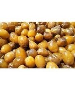 Yellow Barhi Date Palm Phoenix Dactylifera Live plant 1-2 leaves - $25.84 CAD