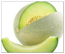 10 Seeds Honeydew Green Melon Seeds NON-GMO Heirloom Fresh Garden Seeds - £8.98 GBP