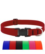 LupinePet Waterproof Splash Dog Collar, Neon Orange, 1-inch Wide, adjust... - €26,93 EUR+