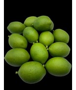 Realistic Fruit Limes Set Lot 13 pcs Fake Artificial Plastic Quality Jar... - $43.18 CAD