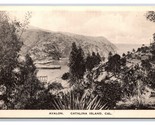 Avalon Harbor Catalina Island California CA UNP WB Postcard V24 - $6.77