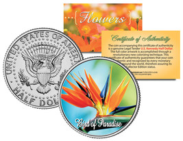 Bird Of Paradise Flower Jfk Kennedy Half Dollar Us Colorized Coin - £6.72 GBP