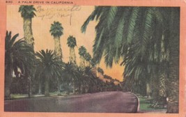 Palm Drive California CA Trees 1953 Santa Ana Postcard C22 - £2.37 GBP