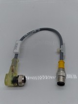 Turck WK 4.4-0.3-P7X2-RS 4.4T/S824 Euro-Fast Cable, ID Nº U2429-33 - $22.75