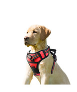 GOOPAWS Padded Reflective Dog Harness, Easy Control Lightweight Dog Harness - $27.95