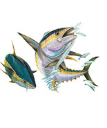 Yellowfin Tuna and Baitfish Vinyl Decal Sticker for Car/Truck Laptop or ... - $6.95+