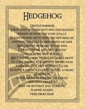 Hedgehog Prayer poster - $22.83 MXN