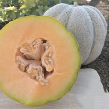 20 Iroquois Melon Seeds Fruit Nongmo - £8.31 GBP