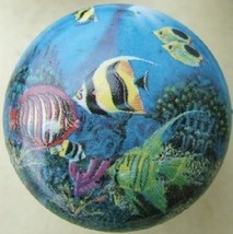 Ceramic Cabinet Knobs W/ Tropical Fish Salt Water #2 - $4.46
