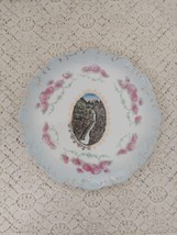 Antique Seven Falls Colorado Souvenir Plate Wheelock China Made in Vienna Goerke - £18.37 GBP