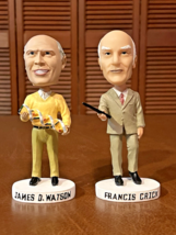 James D Watson &amp; Francis Crick Bobblehead Set DNA Adventures Scivon No B... - $118.80