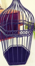 Black Metal Bird Cage for Decorative Use Garden/Patio image 3