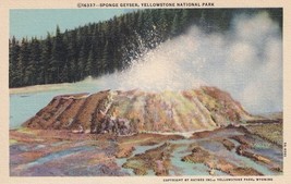 Sponge Geyser Yellowstone National Park Postcard A10 - $2.96