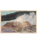 Sponge Geyser Yellowstone National Park Postcard A10 - $2.96