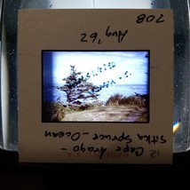 Cape Arago Oregon State Park Ocean Coastline Aug 1962 VTG 35mm Found Slide Photo - £7.86 GBP